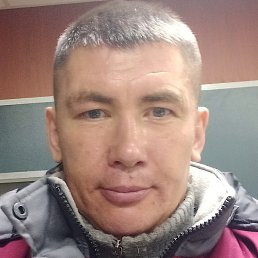 ������, �������, 41 ���