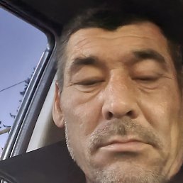 ������, ����, 44 ����