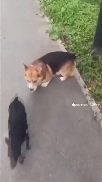 ��� ����� � ����������� ������ �����.. - 2