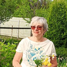 , 65, 