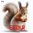 ���� ���������, ������, 28 ��� - ��������� 26 ������ 2026 � ������ ���� ����������