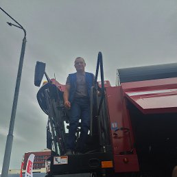 ���� �����, �����, 33 ���� - ��������� 17 ���� 2024