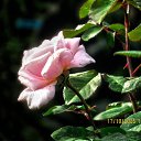 ���� ������, ��������� - ��������� 17 ������� 2025 � ������ ������ �� �����