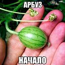 ���� ������, ������, 62 ���� - ��������� 3 ������� 2026 � ������ ������ ��������