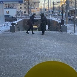 ���� ϸ��, �����-���������, 50 ��� - ��������� 22 ������ 2024