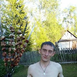 , 37, -