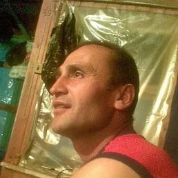 �����, ������, 46 ���