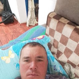 , 37, 
