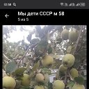 ���� ����, ������-��-����, 58 ��� - ��������� 20 ��� 2026 � ������ ���� ����������