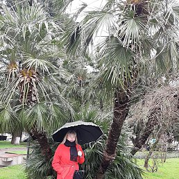 �����, �������, 55 ���