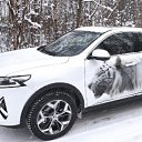 ���� ��������, ��������, 47 ��� - ��������� 21 ���� 2025 � ������ ���� ����������