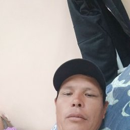 , 41, 