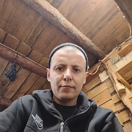 , 41 , 