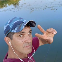 �������, ������, 49 ���