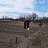 ���� �������, ����, 85 ��� - ��������� 4 ������ 2025