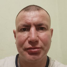 �������, �����, 40 ���