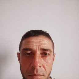���� �����, �������, 44 ���� - ��������� 10 ��� 2026
