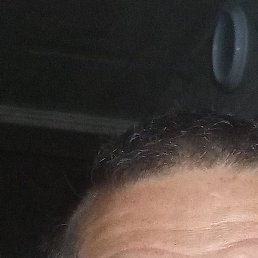 , , 54 