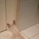 ���� ��������, �������� - ��������� 24 ������ 2025 � ������ ������ ��������