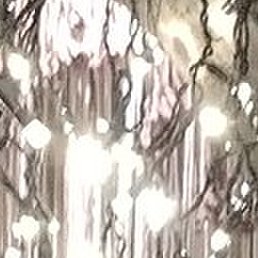 �����, �����-���������, 40 ���