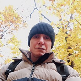 �����, 38 ���, ����