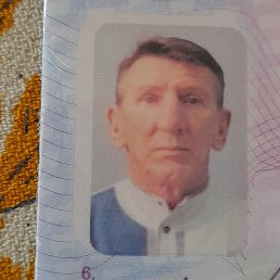 , 56, 