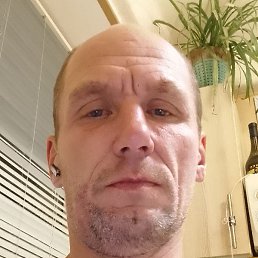 �����, ������, 39 ���