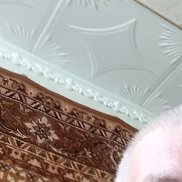, 60 , 