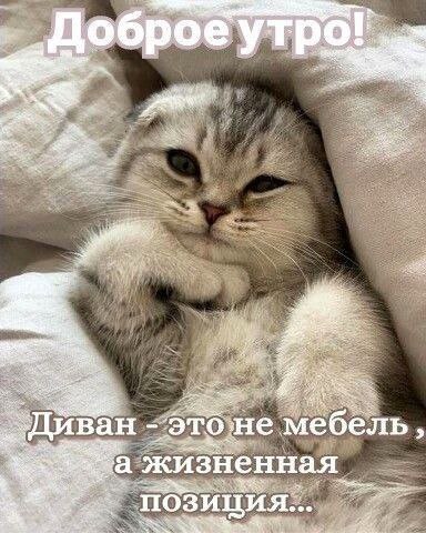   ,    . - 14  2025  07:48 - 2