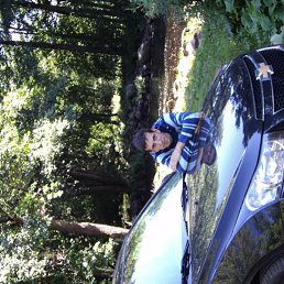 ������, �����-���������, 41 ���