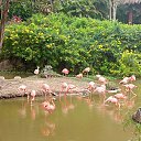 ���� ����, �������, 65 ��� - ��������� 13 ������� 2024 � ������ ������ ��������