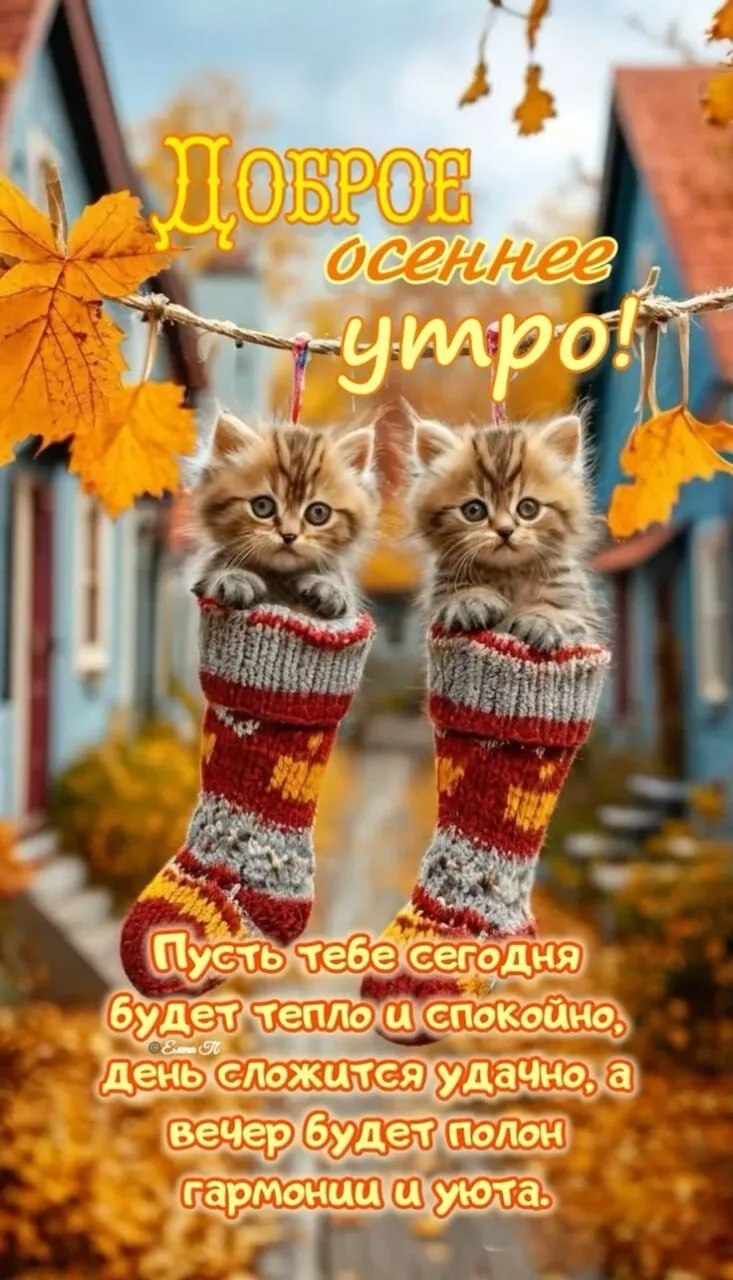 ***Victoria Viktorovna*** - 13  2025  03:54