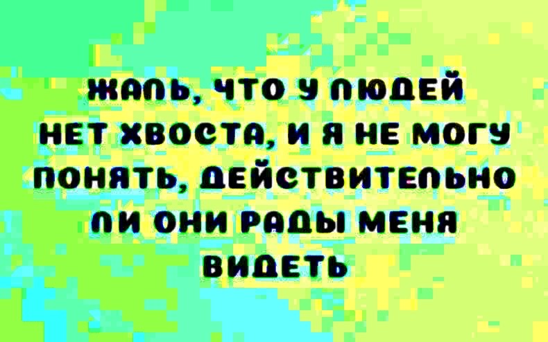   - 13  2025  01:58