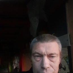 ���� �����, �������, 48 ��� - ��������� 14 ���� 2025