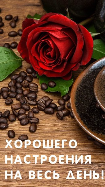 ***Victoria Viktorovna*** - 12  2024  08:59