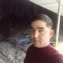 Normomin N, 39, 