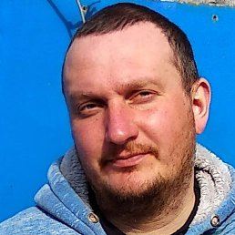 ������, �����-���������, 41 ���