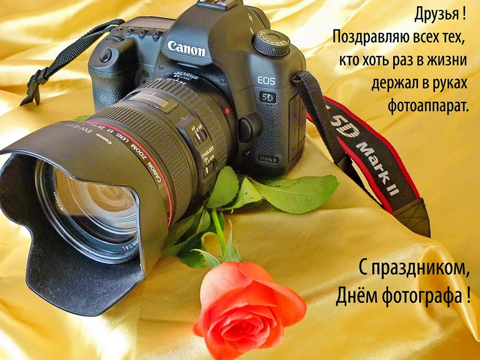  - 13  2025  08:43