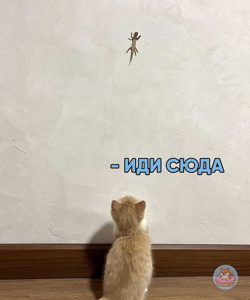    ? !  ,  ,        ...
