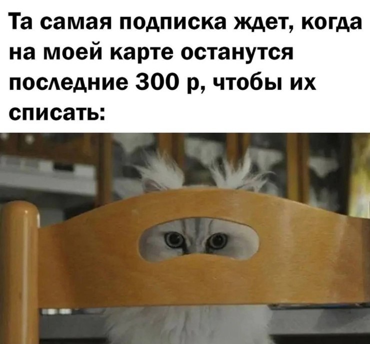  - 4  2025  14:18