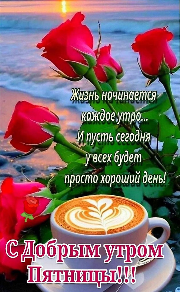   ,    . - 6  2025  07:04