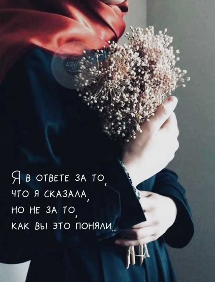 �������� ������ - 6 ������� 2025 � 17:32