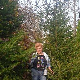 , 49, 