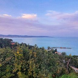 ������, ������, 36 ���