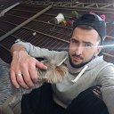 ���� �����, ���������, 31 ��� - ��������� 14 ������� 2025 � ������ ���� ����������