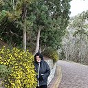 ���� �����, ������, 65 ��� - ��������� 24 ����� 2026