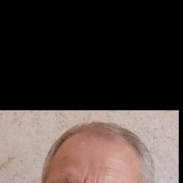 , 61, 