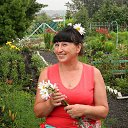 ���� ��������, �������� - ��������� 27 �������� 2024 � ������ ���� ����������