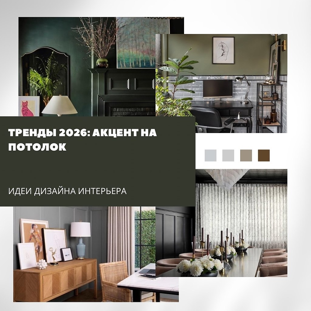  2026:   .           ...