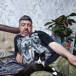, 50, 